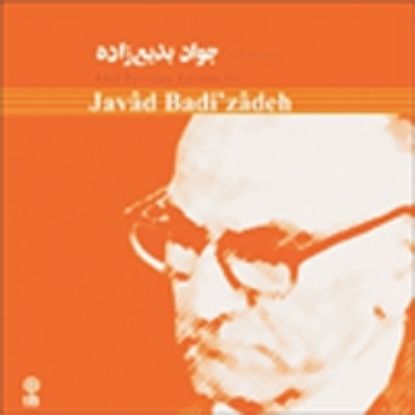 تصویر  جواد بدیع زاده 