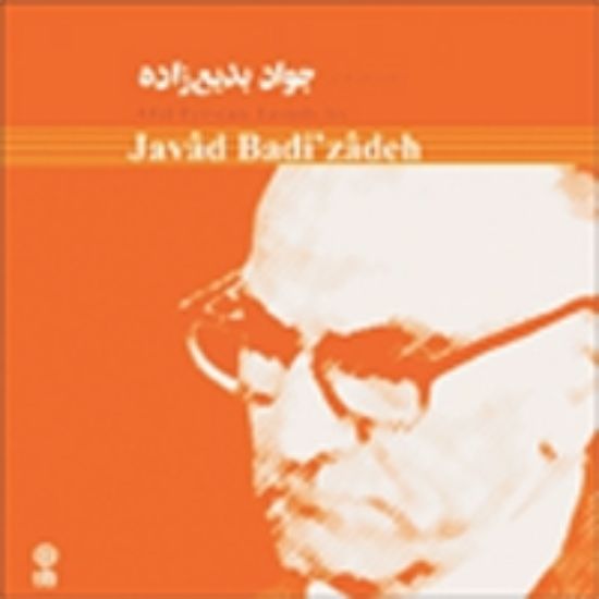 تصویر  جواد بدیع زاده 