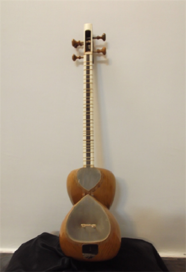 تصویر  تار مرادی 