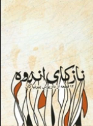 تصویر  نازکای اندوه 